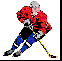 hockey player